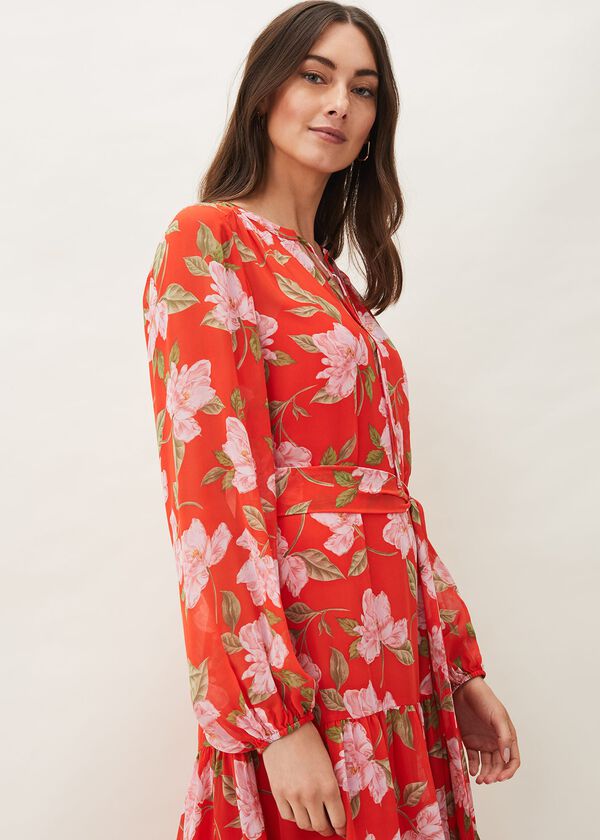 Phase Eight Philippa Floral Chiffon Maxi Dress