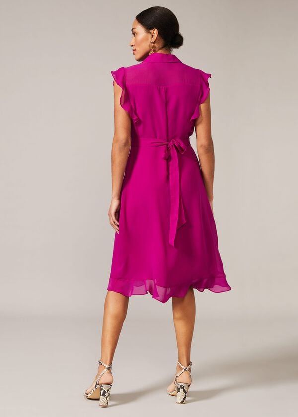 Phase Eight Riley Chiffon Dress