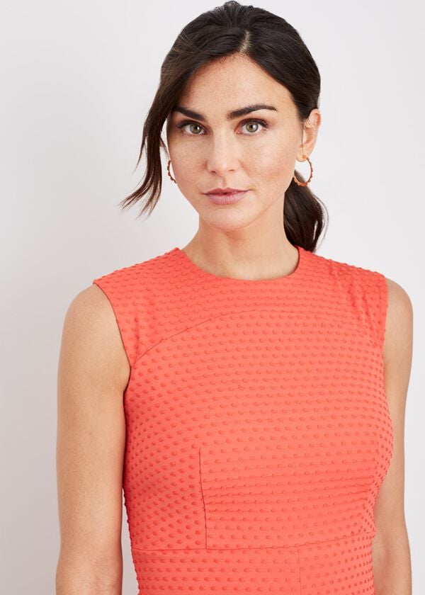 Phase Eight Romano Textured Fitted Dress