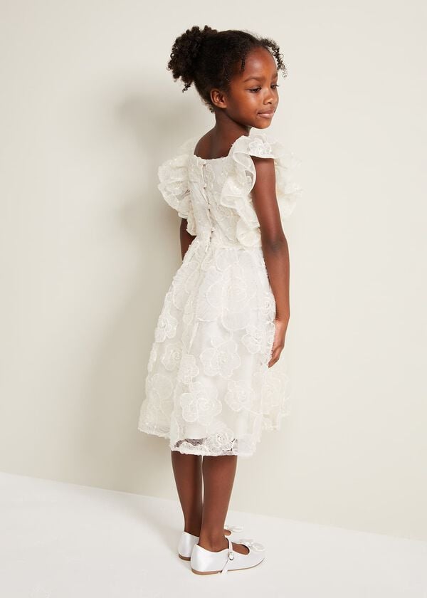 Phase Eight Rosa Lace Applique Smock Dress