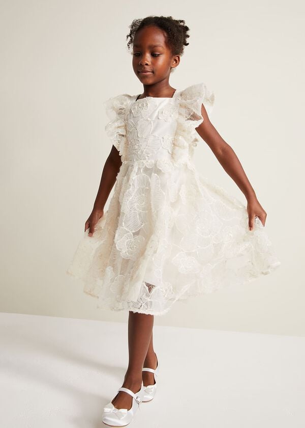 Phase Eight Rosa Lace Applique Smock Dress