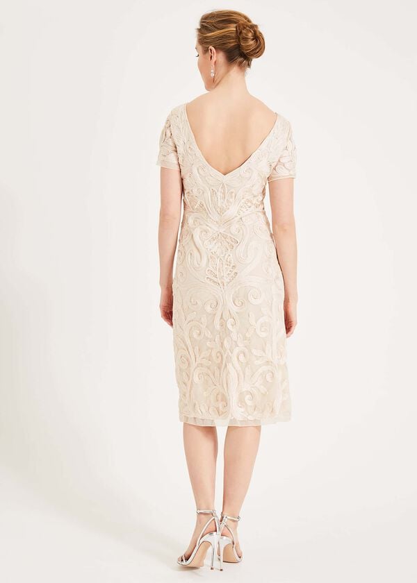 Phase Eight Rosalie Tapework Lace Dress