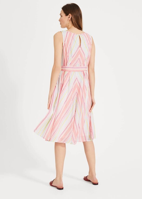 Phase Eight Samantha Stripe Dress