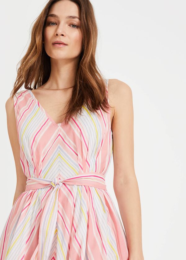 Phase Eight Samantha Stripe Dress