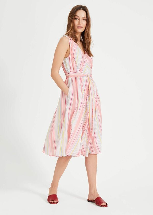 phase eight Samantha Stripe Dress