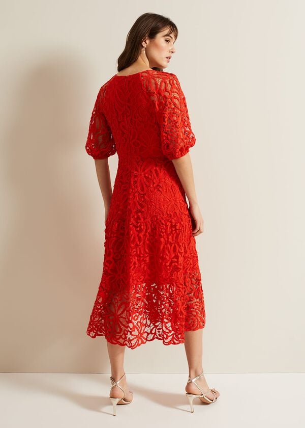 Phase Eight Senna Lace Midi Dress