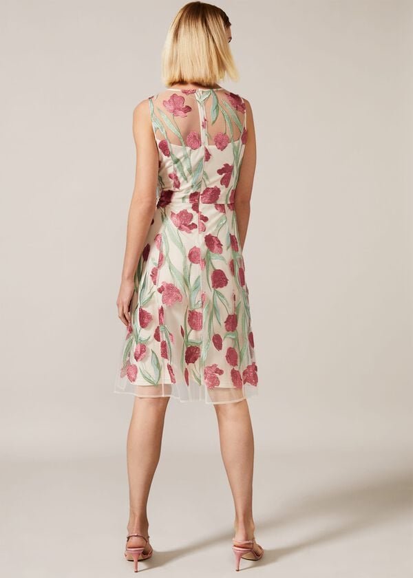Phase Eight Shae Floral Embroidered Dress