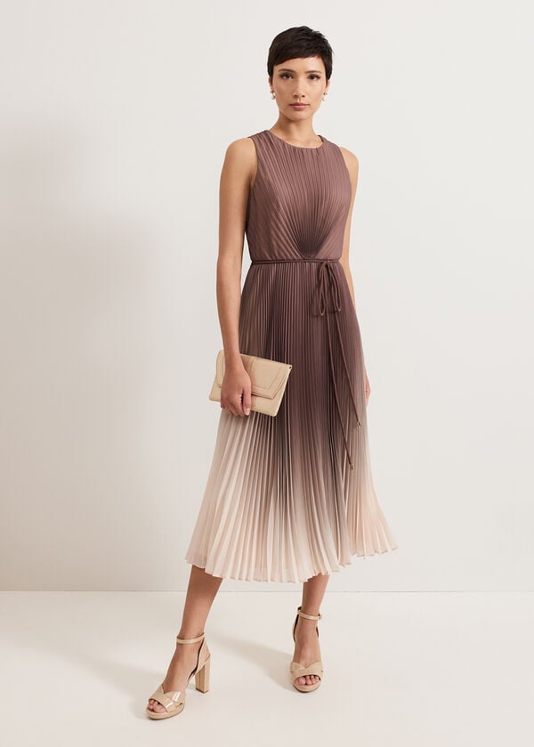 phase eight Simara Ombre Dress