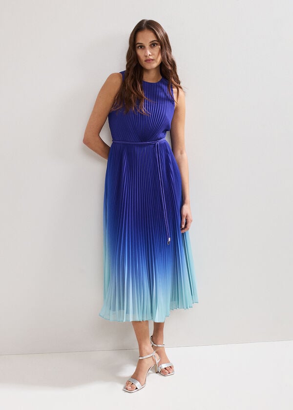phase eight Simara Ombre Dress
