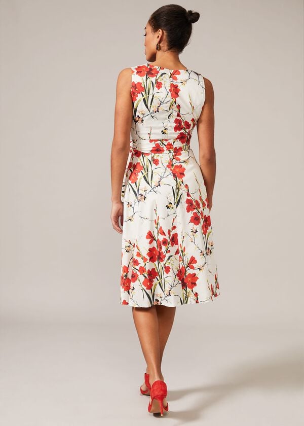 Phase Eight Sofia Floral Cotton Dress