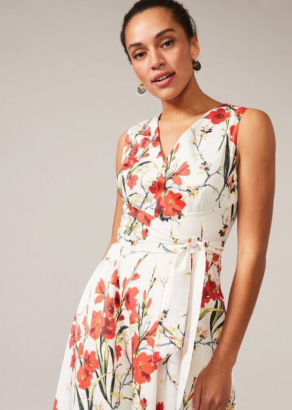 Phase Eight Sofia Floral Cotton Dress