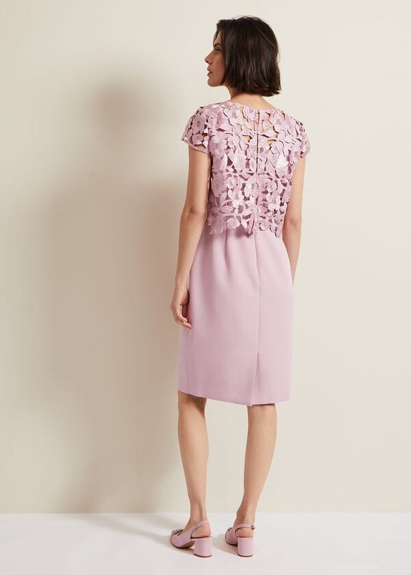 Phase Eight Tallula Lace Dress