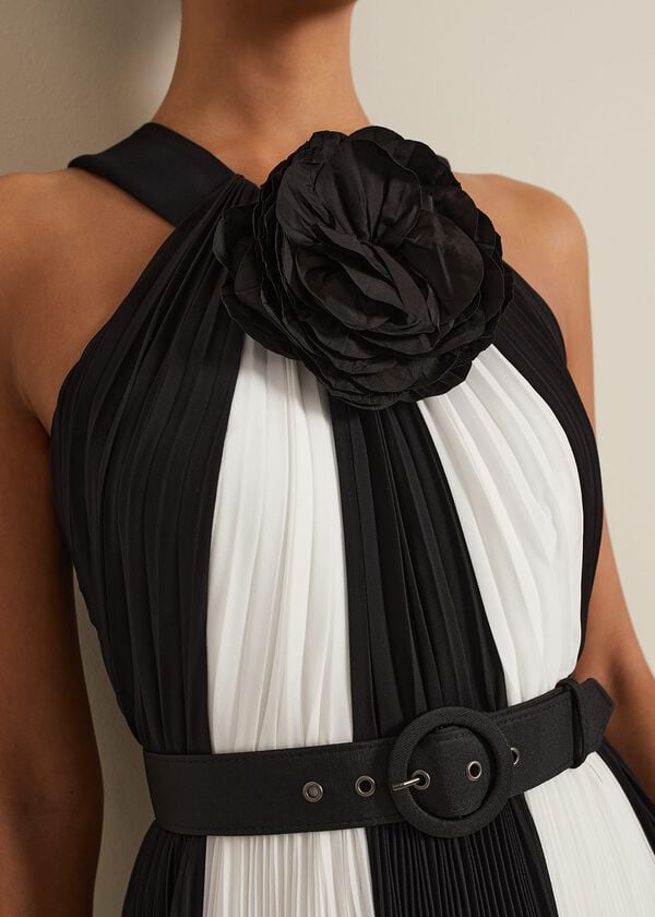 Phase Eight Taylor Pleated Maxi Dress