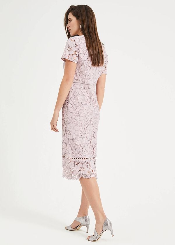Phase Eight Trinity Corded Lace Dress