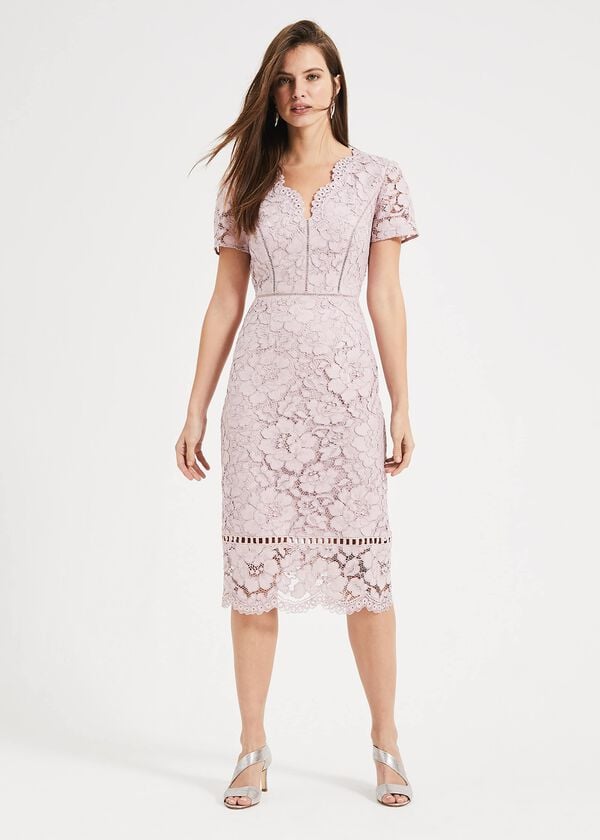 Phase Eight Trinity Corded Lace Dress