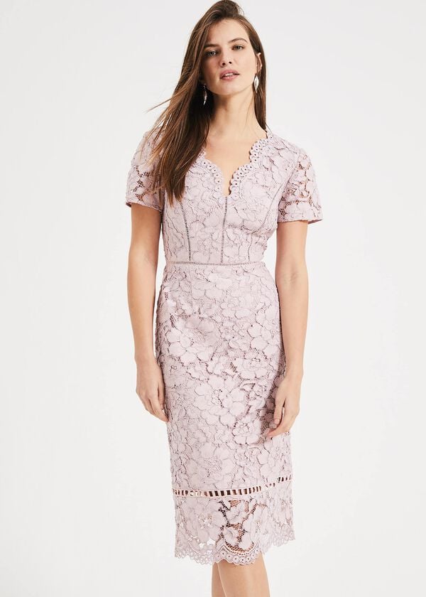 phase eight Trinity Corded Lace Dress