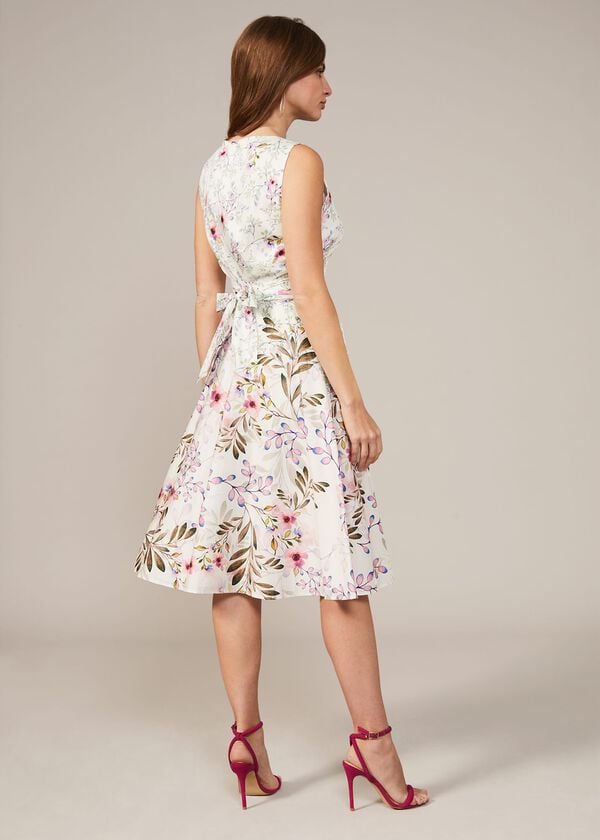 Phase Eight Wilhemina Cotton Fit & Flare Dress