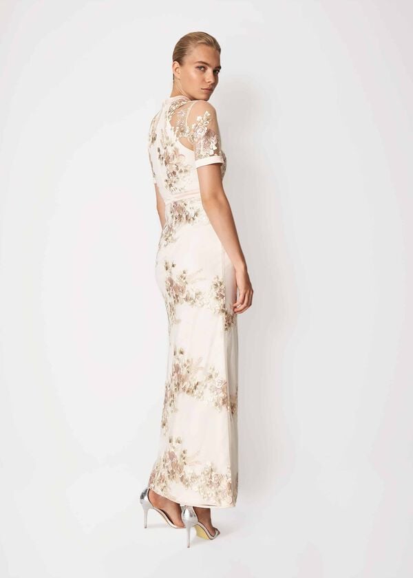 Phase Eight Yasmin Embroidered Maxi Dress