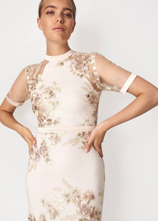 Phase Eight Yasmin Embroidered Maxi Dress