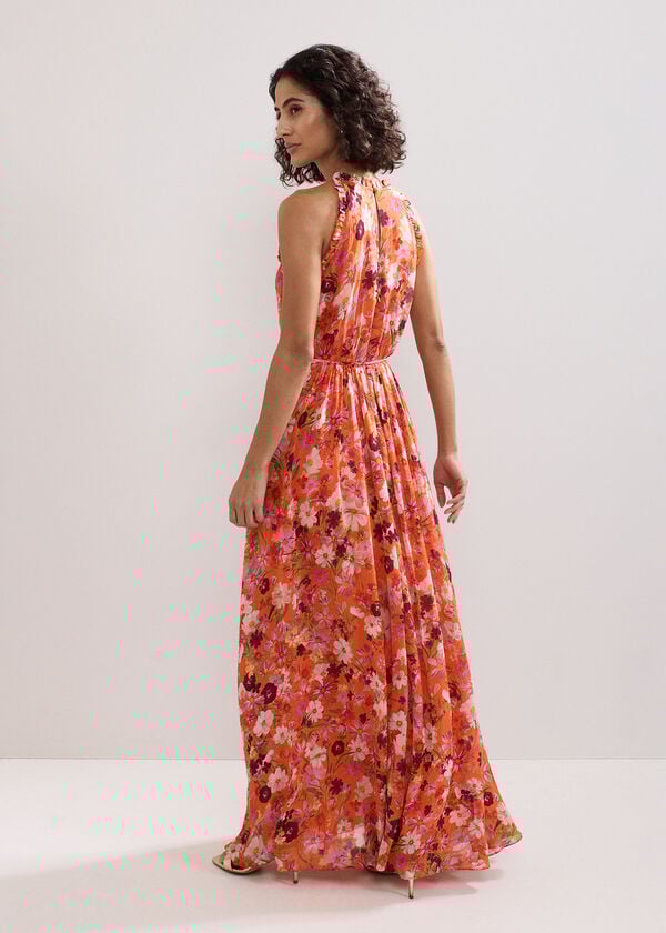 Phase Eight Zelah Floral Dress