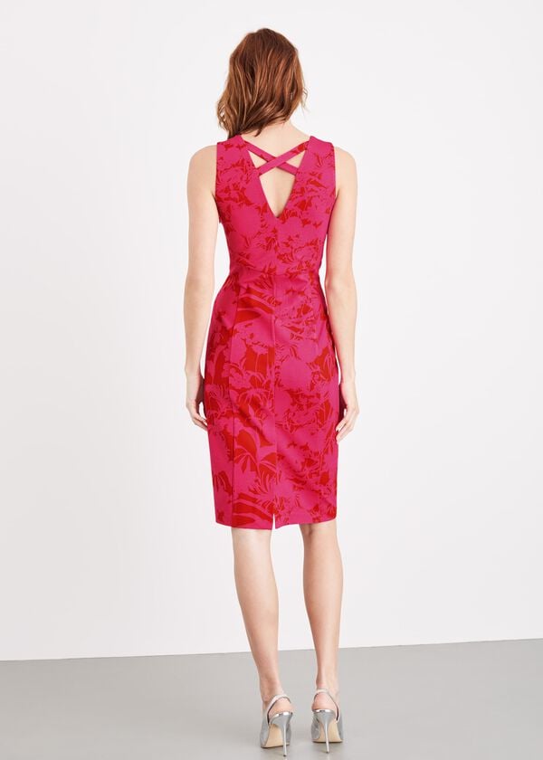 Phase Eight Zennor Floral Fitted Ponte Dress