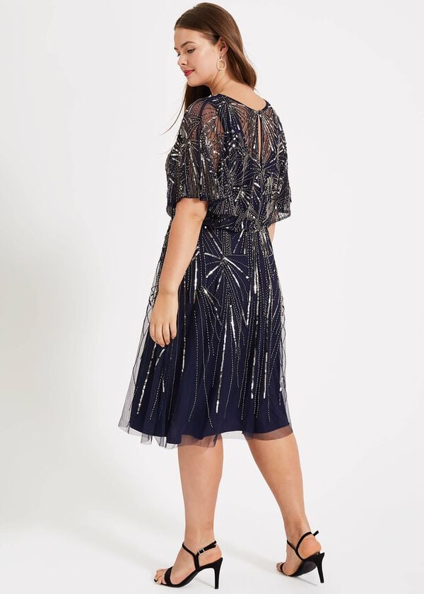 Phase Eight Zoe Beaded Dress