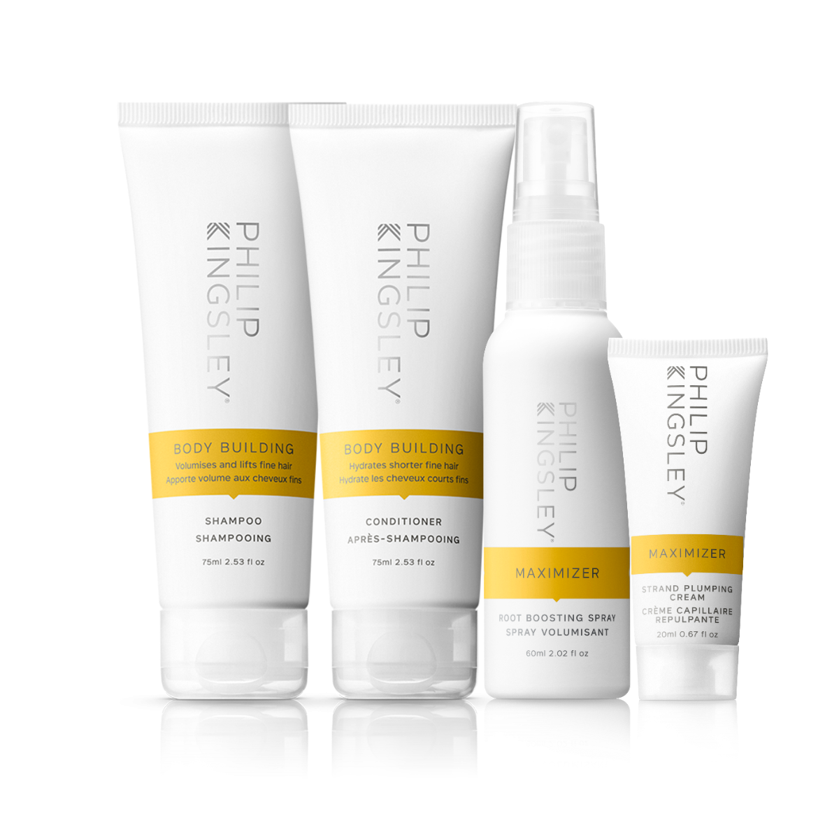 philip kingsley Body Building