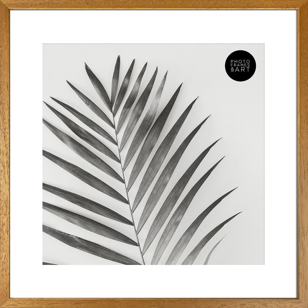 Photoframesandart 16x16" For 12x12" With Glass | Winchester Wood