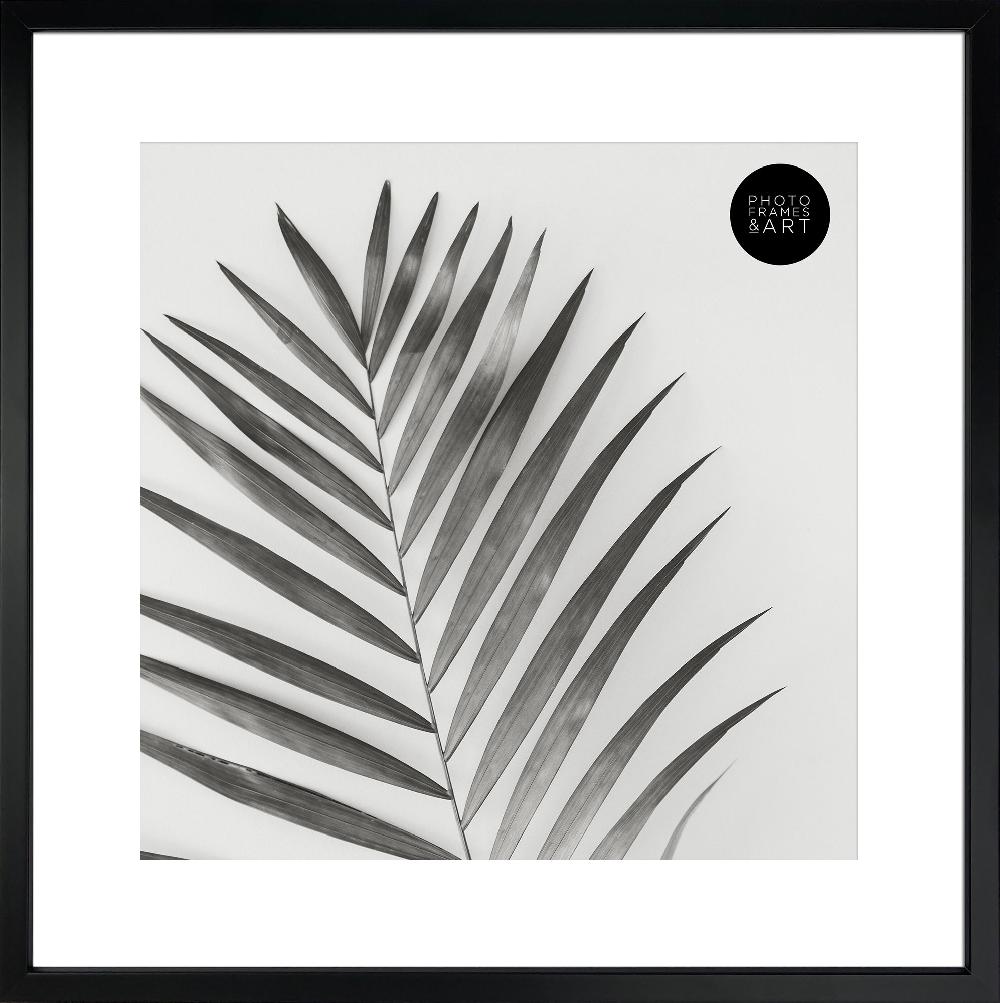 photoframesandart 16x16" for 12x12" With Glass | Winchester Wood