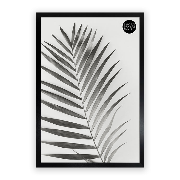 photoframesandart 18x12" Poster Frame No Mount | Oxford Black