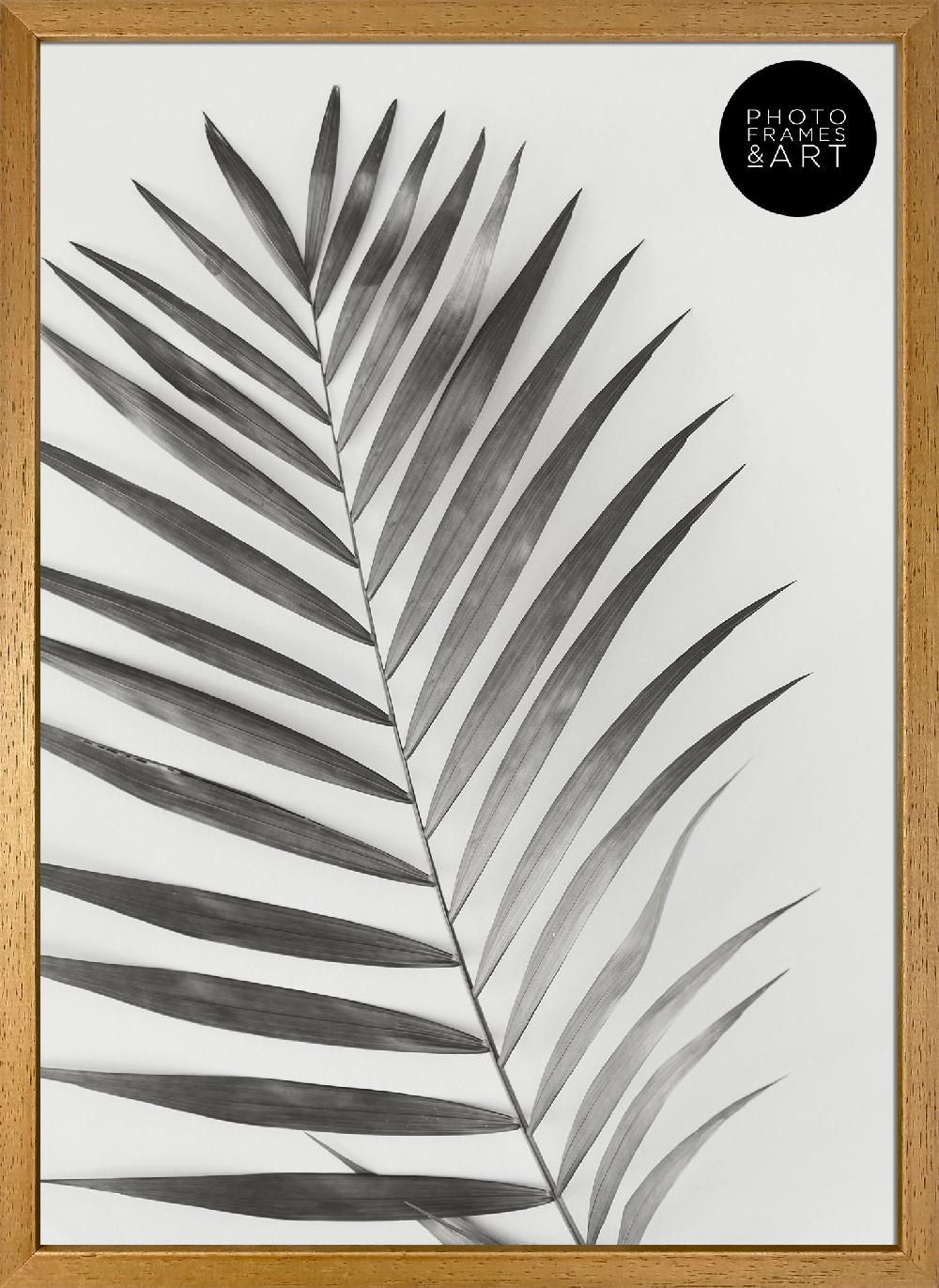 photoframesandart A2 Poster Frame No Mount | Winchester Wood