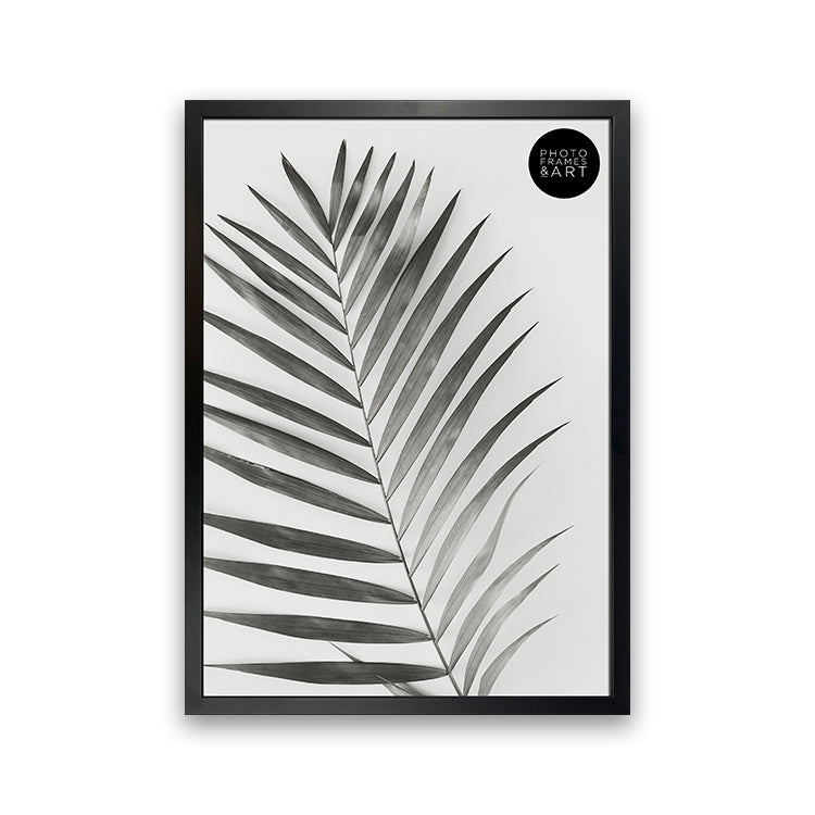 Photoframesandart A3 Poster Frame No Mount | Winchester Wood