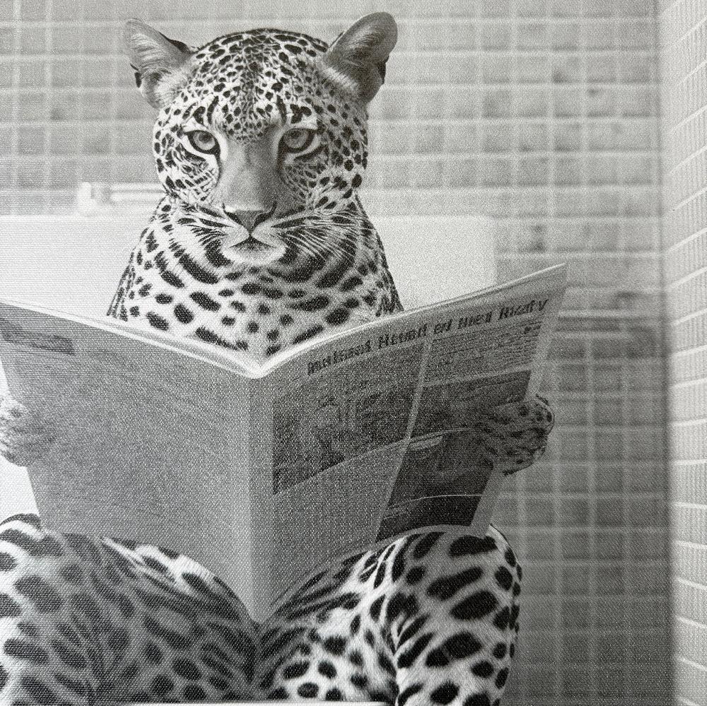 Photoframesandart Black & White Funny Animal Bathroom Canvas | Leopard