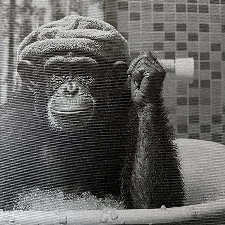 Photoframesandart Black & White Funny Animal Bathroom Canvas | Monkey