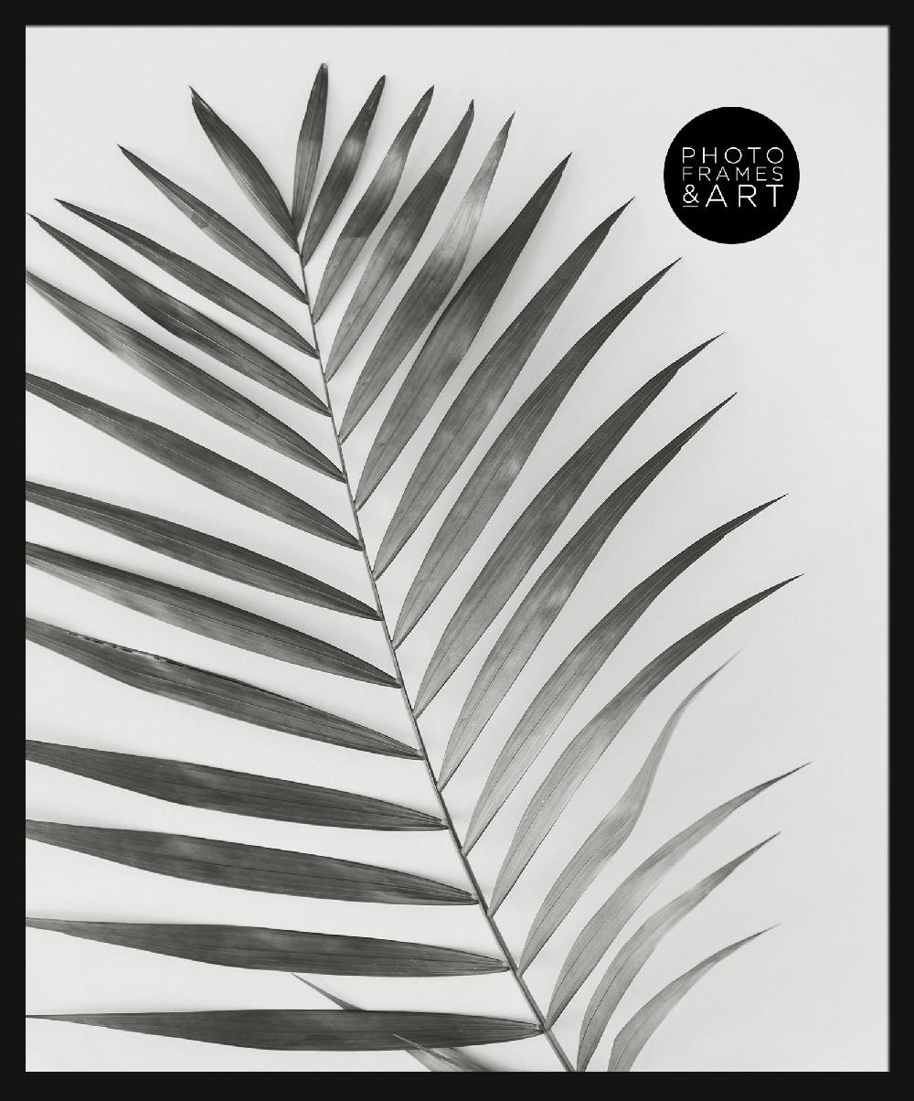 photoframesandart 40x50 Frame With Glass | Oxford