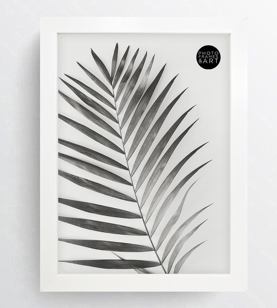 Photoframesandart A4 Frame With Glass | Oxford