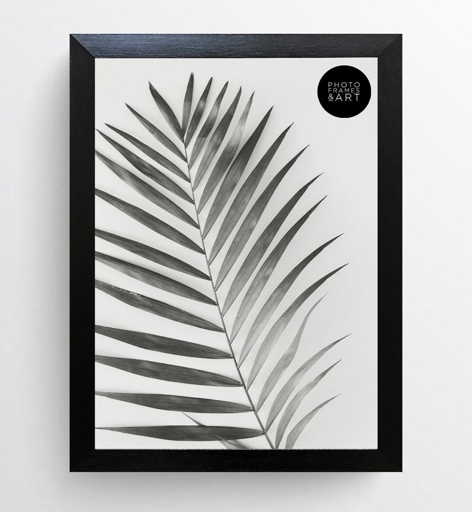 photoframesandart A4 Frame With Glass | Oxford