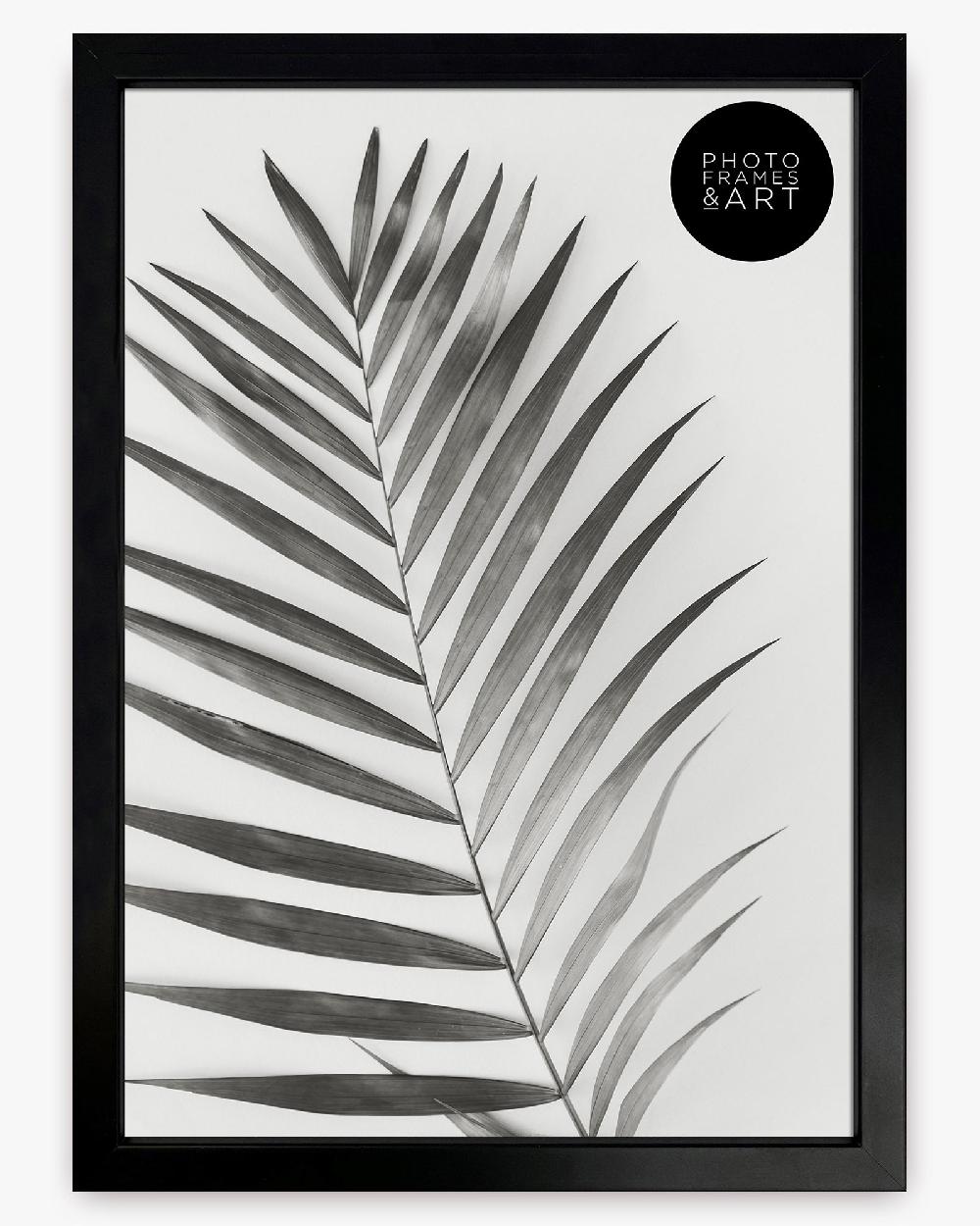 photoframesandart A4 Picture Frame | Winchester Wood