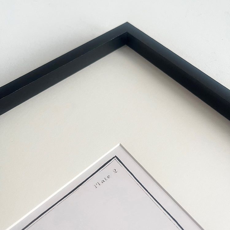 Photoframesandart Crustacean Framed Art | Crab