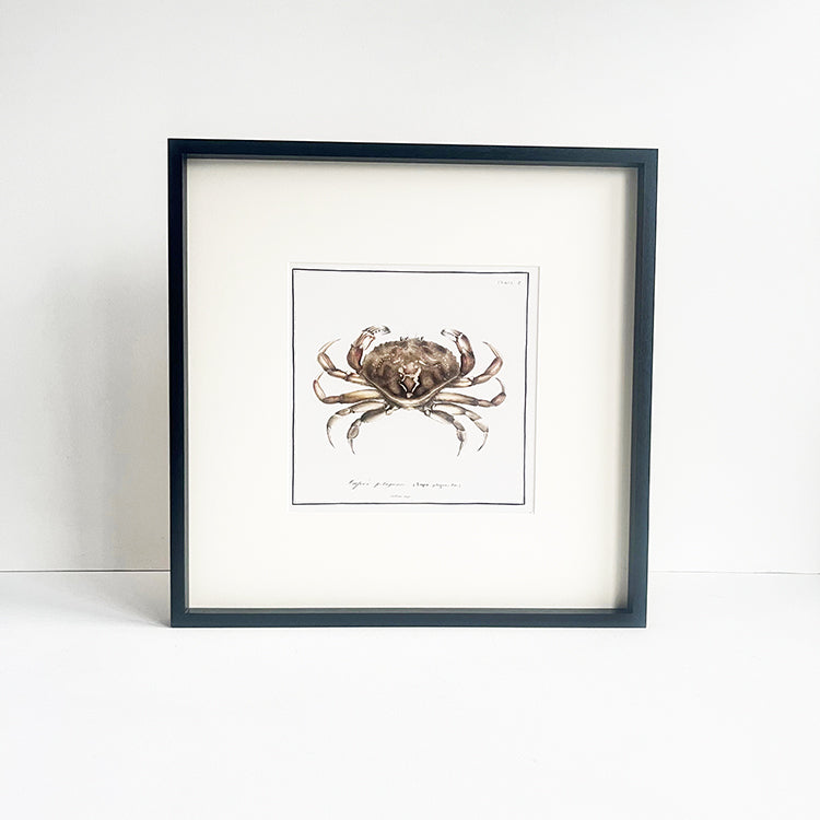 photoframesandart Crustacean Framed Art | Crab