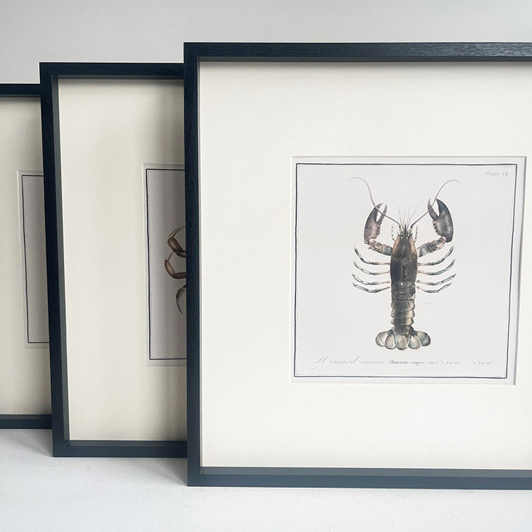 Photoframesandart Crustacean Framed Art | Lobster