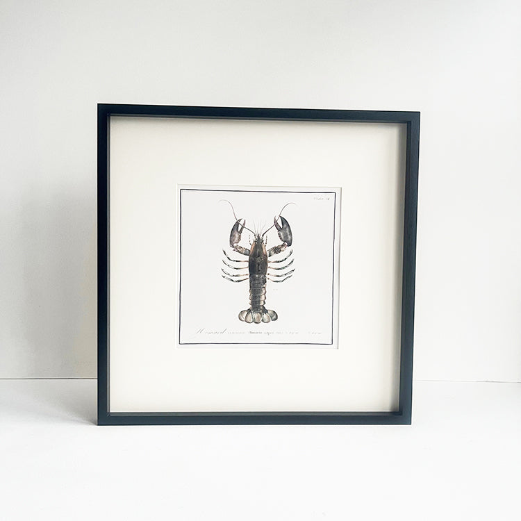 photoframesandart Crustacean Framed Art | Lobster