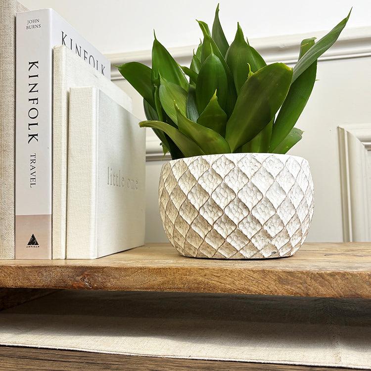 Photoframesandart White Trellis Pot | 10cm