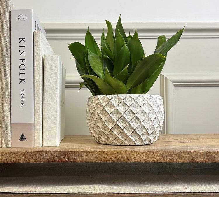 photoframesandart White Trellis Pot | 10cm