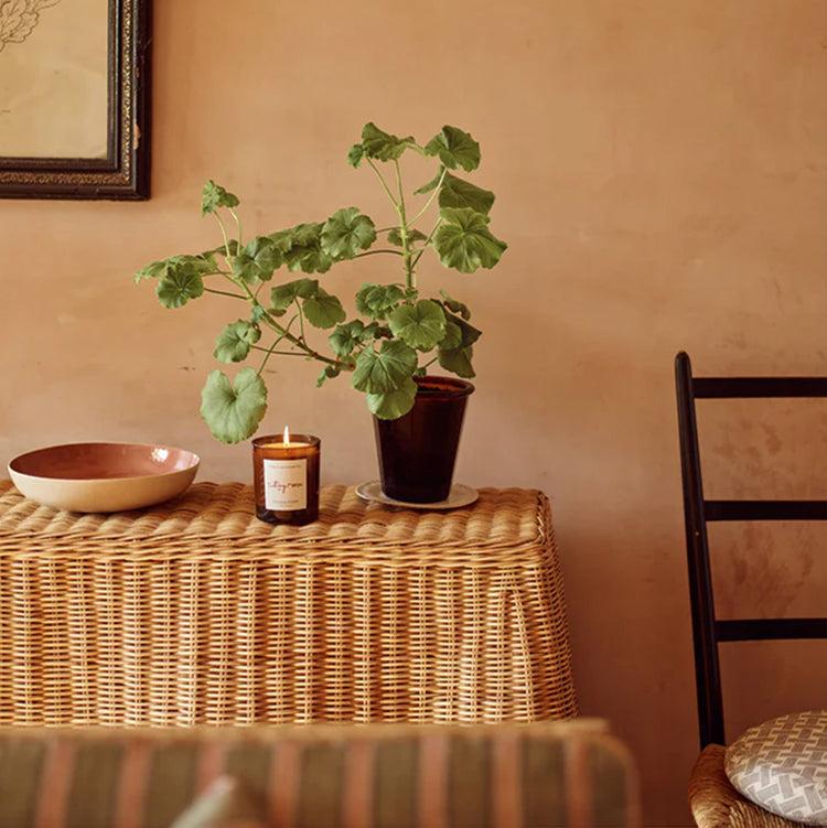 Photoframesandart Plum & Ashby Sitting Room Candle | Green Sandalwood And Fern