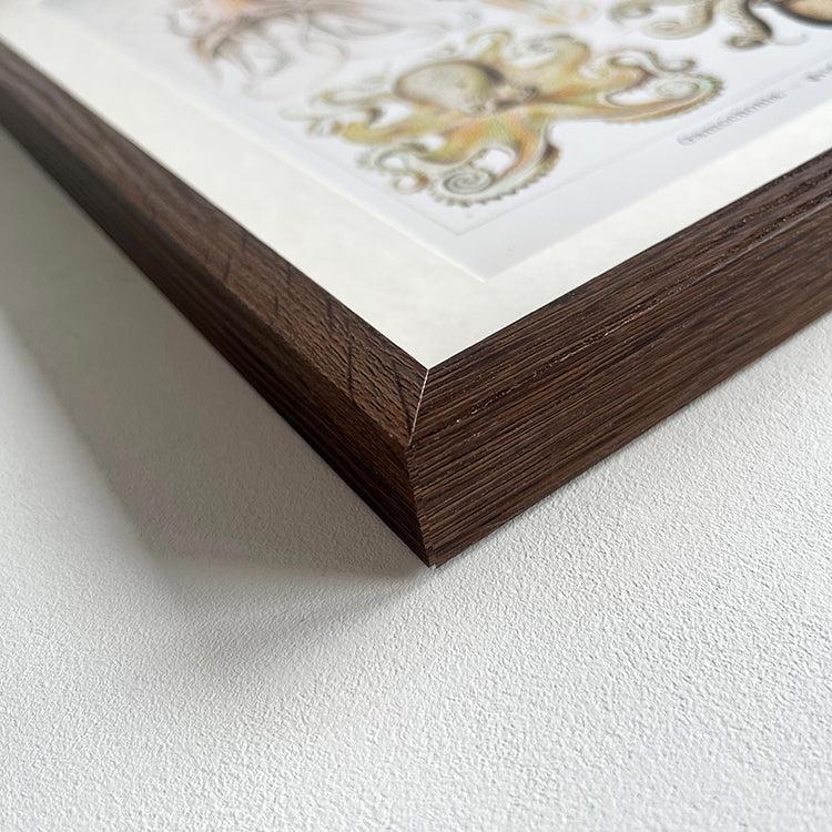 Photoframesandart Vintage Under The Sea Framed Art | Octopus