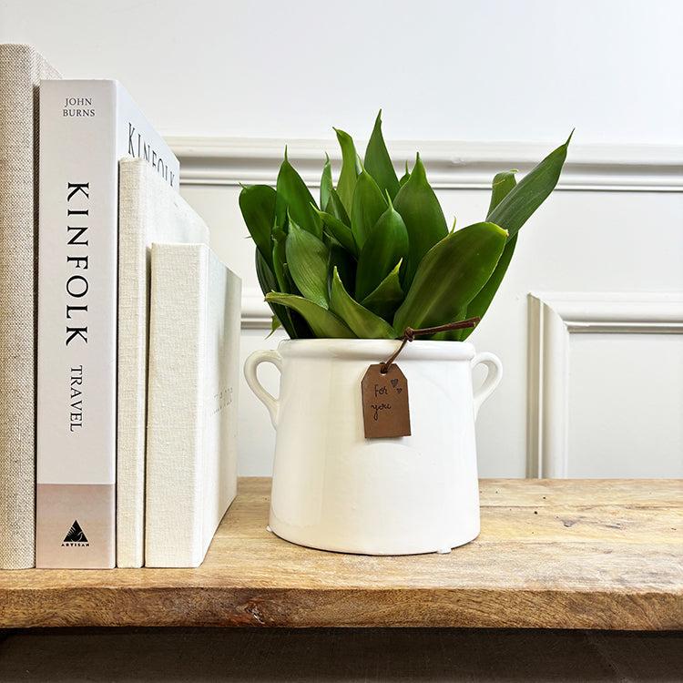 Photoframesandart White Ceramic Milk Churn Vases | 2 Sizes Available