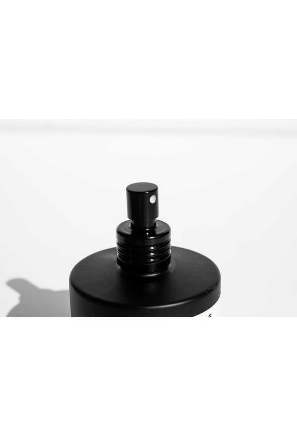 Photogenics Co NO.4 BETEL INTERIOR MIST / SET