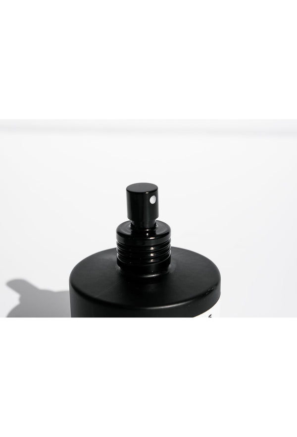 Photogenics Co NO.4 BETEL INTERIOR MIST / SINGLE