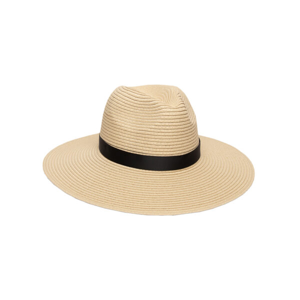 physician endorsed Andi PHYSICIAN ENDORSED